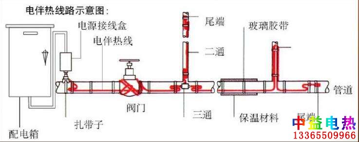 草莓视频直播APP下载系统图